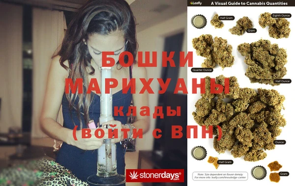 PSILOCYBIN Алзамай