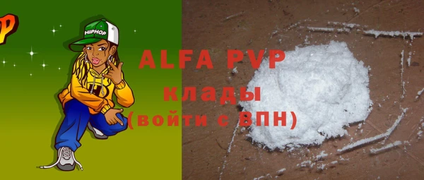 PSILOCYBIN Алзамай