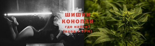 шишки Алексин