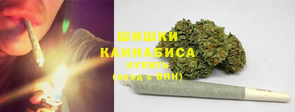 PSILOCYBIN Алзамай