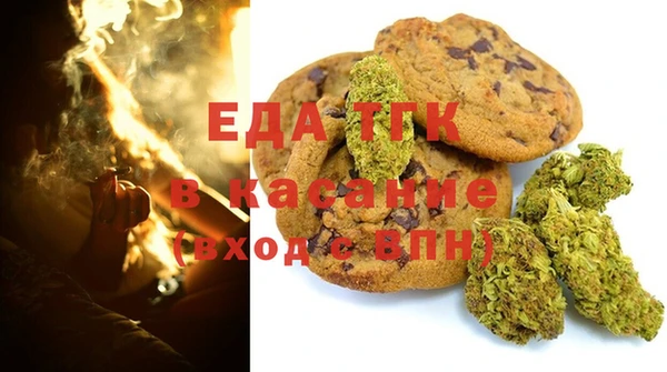 PSILOCYBIN Алзамай