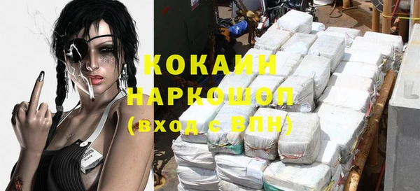 шишки Алексин