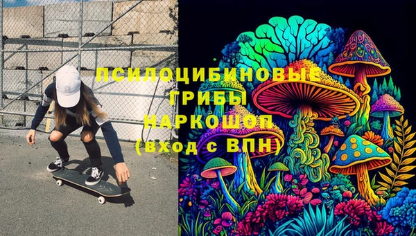 PSILOCYBIN Алзамай