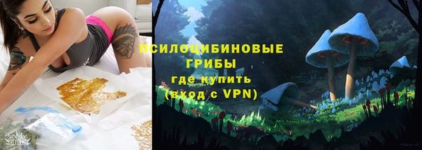 PSILOCYBIN Алзамай