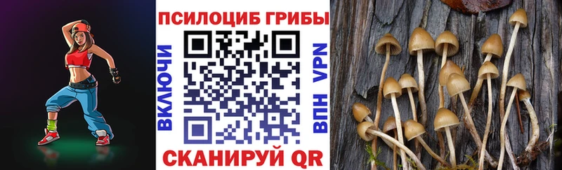 Галлюциногенные грибы мухоморы  где найти   Артёмовск 